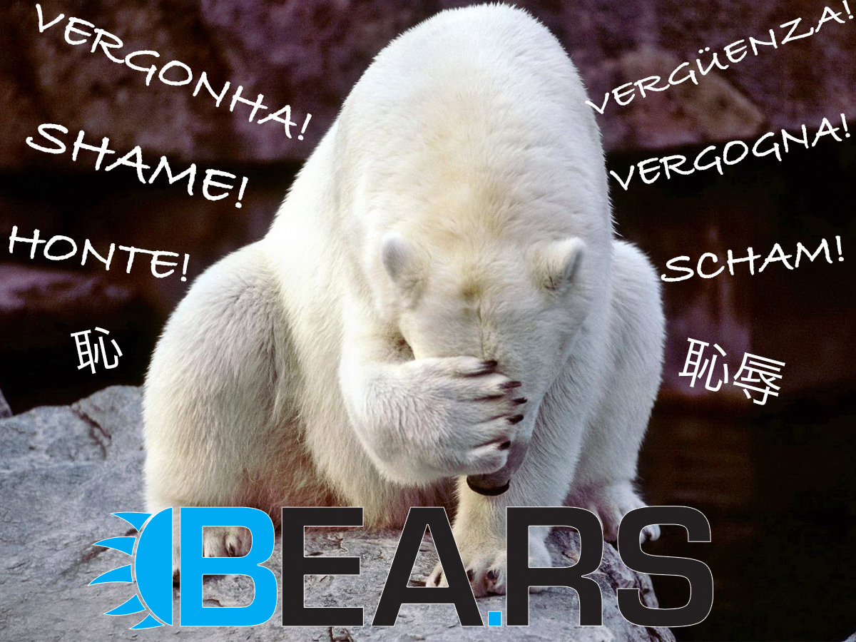 Bea.rs - The Bears on the Web